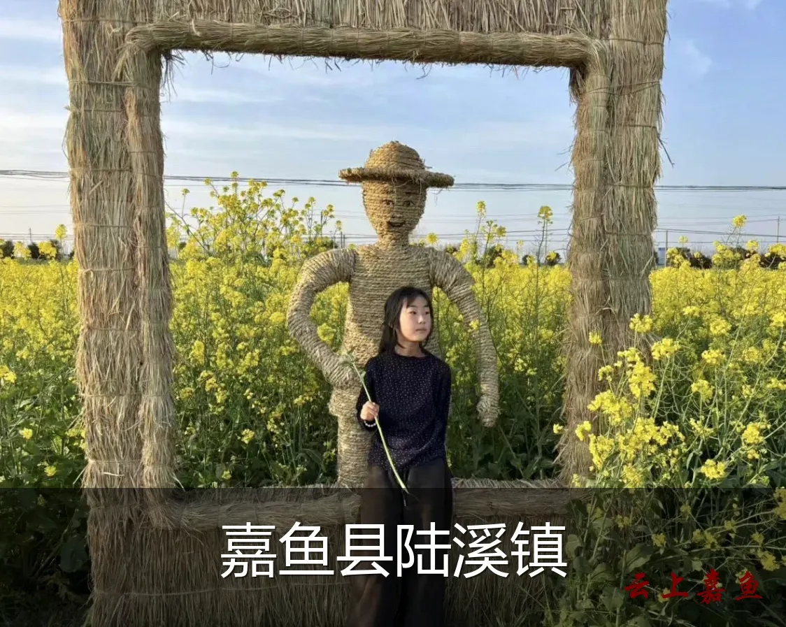 嘉鱼县陆溪镇